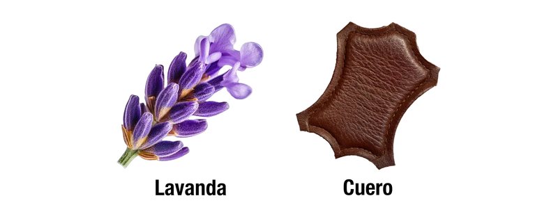 212 VIP BLACK - CORAZÓN