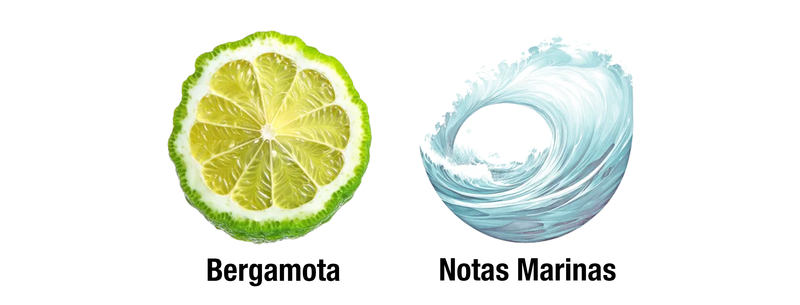 ACQUA DI GIO PROFONDO PARFUM - SALIDA