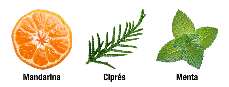 ALLURE HOMME SPORT EAU EXTRÊME - SALIDA