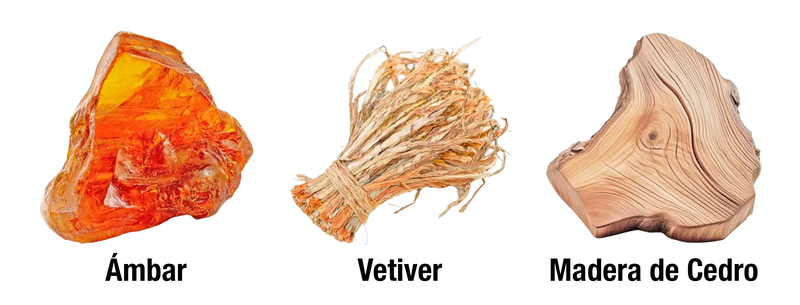 AL NASHAMA CAPRICE - BASE
