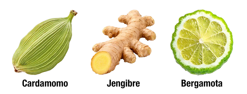 AL NASHAMA CAPRICE - SALIDA