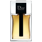Dior Homme 2020
