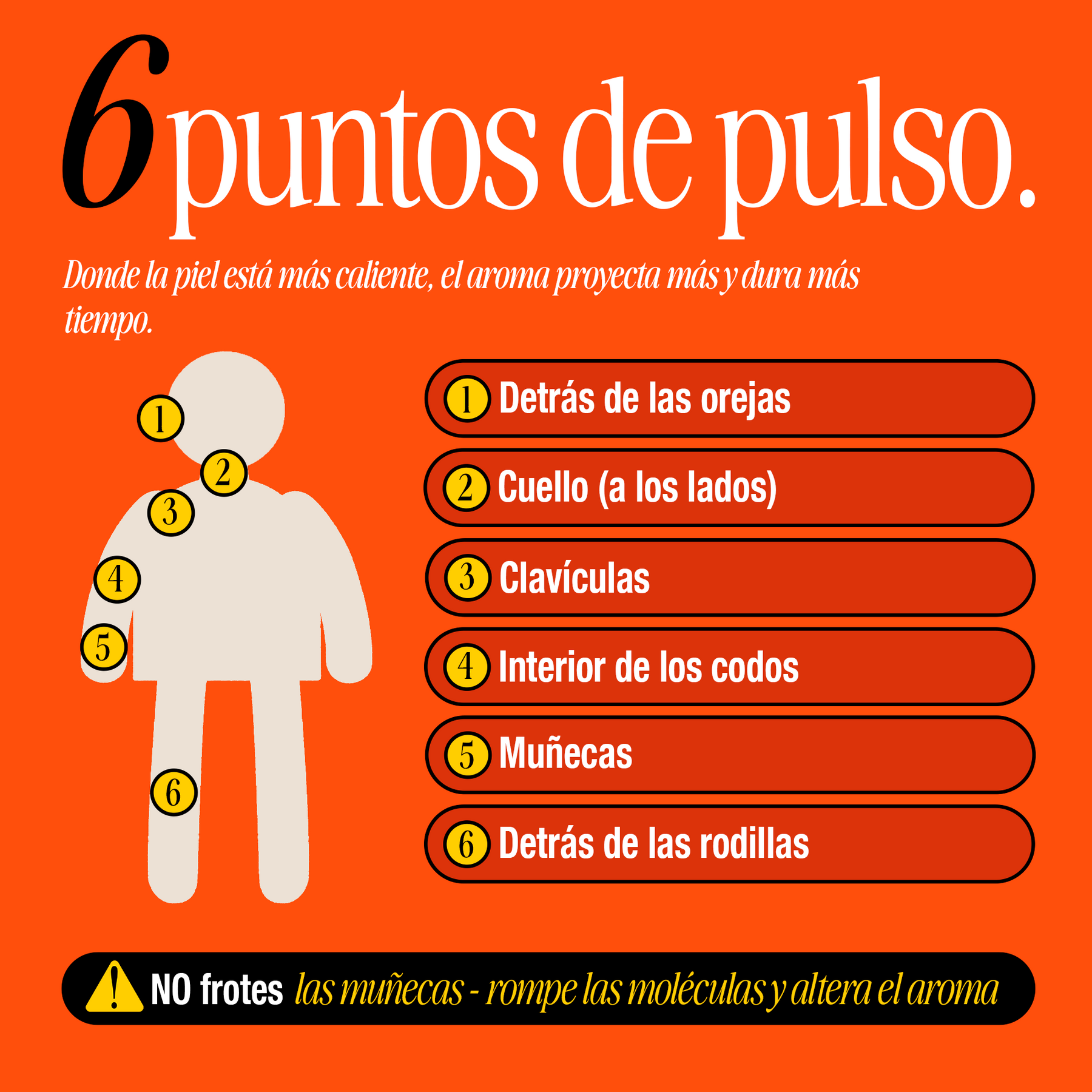 Puntos de pulso