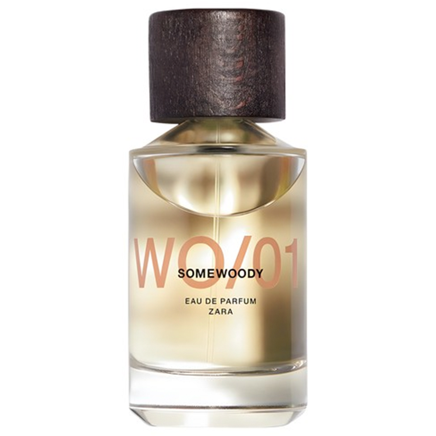 WO/01 Somewoody