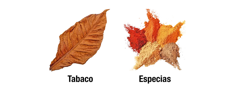 Tobacco Vanille - SALIDA