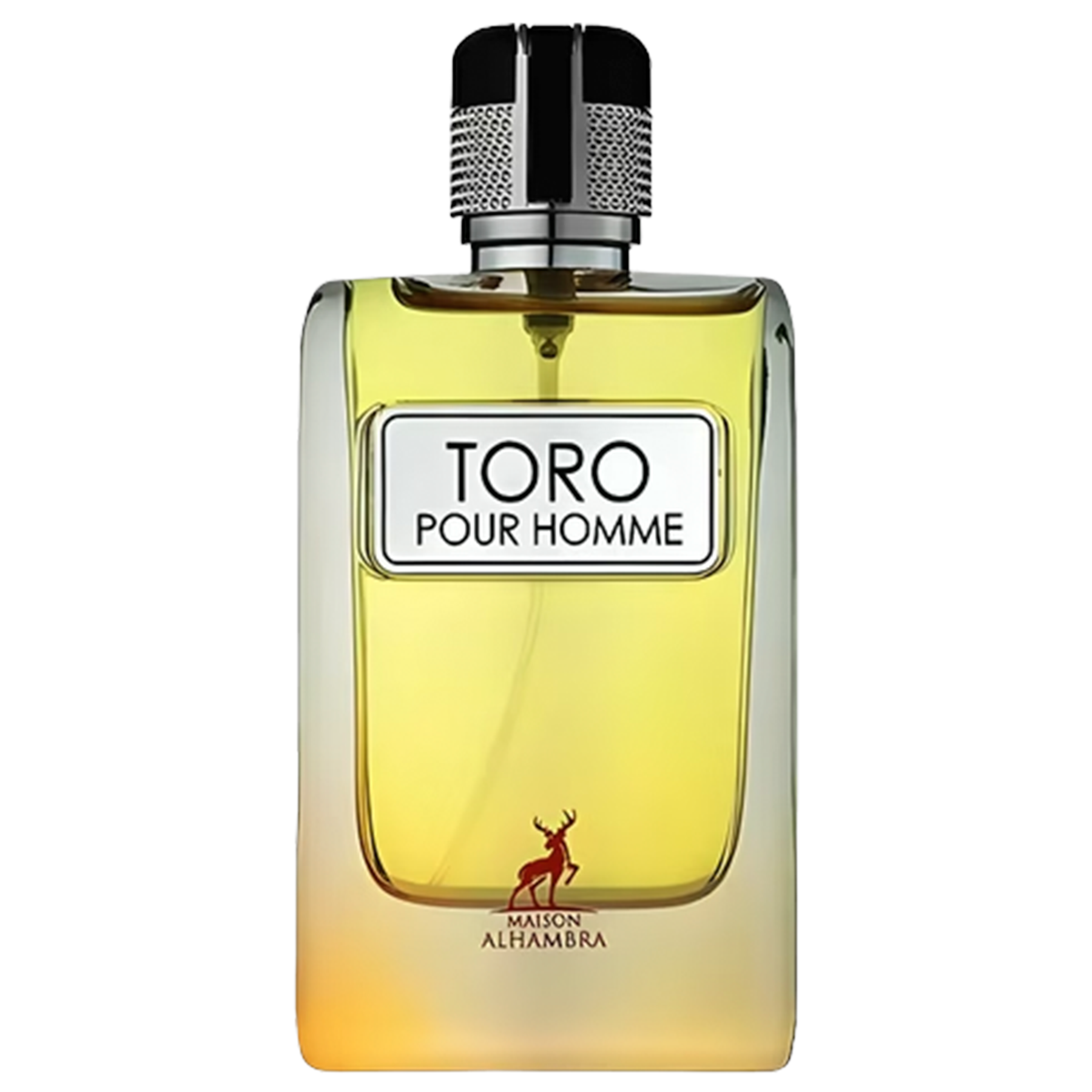 Toro Pour Homme