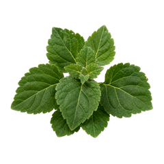 Pachuli